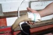 CDN Geoduck