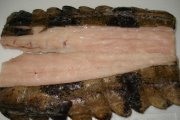 贊比亞鱷魚肉
